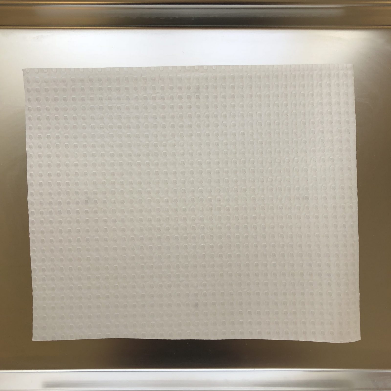 Dental Bib White (Poly Back) 20 x 26cm