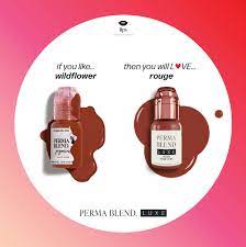 Luxe Rouge Lip Pigment for PMU Artists - Image 3