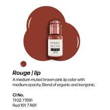 Luxe Rouge Lip Pigment for PMU Artists - Image 4
